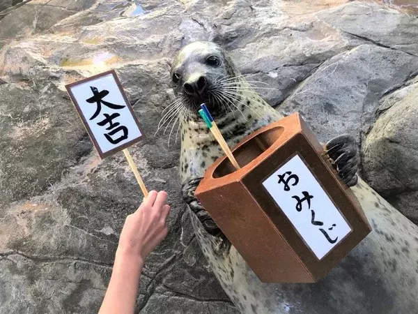 しながわ水族館「しな水のお正月2025」12月28日より開催　お正月をテーマに様々なイベントで新春をお祝い！