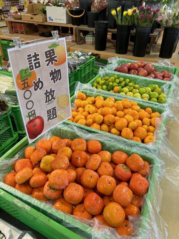 ＼とろろかけ放題！？のまぐろとろろ飯／道の駅ローズマリー公園はなまる市場内「おさかな丼屋とと丸」期間限定でまぐろとろろ飯が登場中！