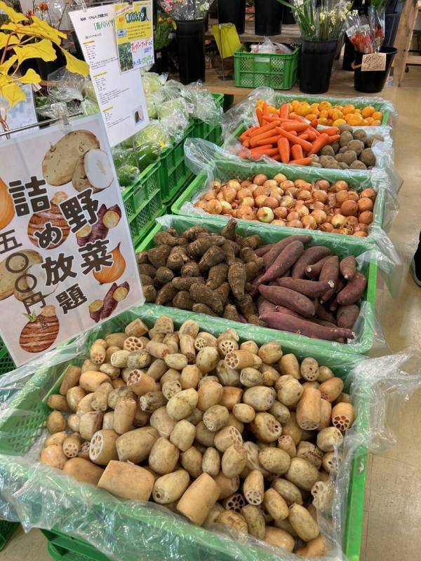 ＼とろろかけ放題！？のまぐろとろろ飯／道の駅ローズマリー公園はなまる市場内「おさかな丼屋とと丸」期間限定でまぐろとろろ飯が登場中！