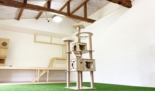 殺処分ゼロを願い、人と犬猫が共に「生きる」を目指す愛犬、愛猫コミュニティ施設応援プロジェクトをクラウドファンディングサイト「CAMPFIRE」で開始