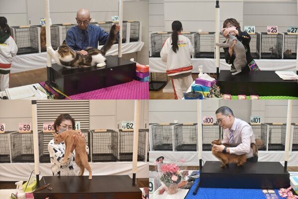 プロも認める高品質！「フリーズドライクロコダイル」が愛犬・愛猫の健康をサポート