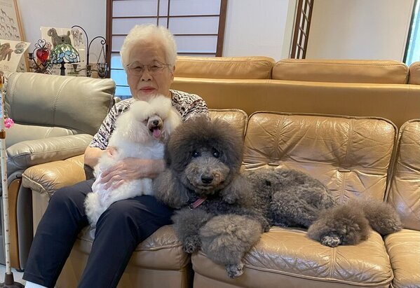 高齢者でも犬と暮らせる「セラピードッグ販売プラス」　冬のサンクスキャンペーンを12/26～1/26に開催