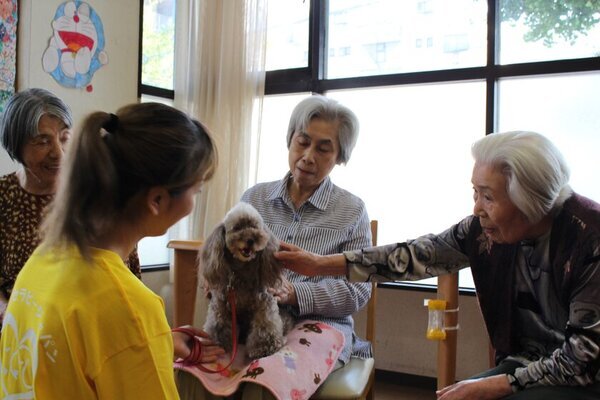 高齢者でも犬と暮らせる「セラピードッグ販売プラス」　冬のサンクスキャンペーンを12/26～1/26に開催