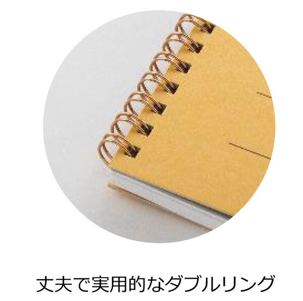 品質と伝統を継承しさらに使いやすく『ケンブリッジ』ノート『ロイヤルカレッジ』ノート発売　発売日：ケンブリッジノート：2025年1月10日　ロイヤルカレッジノート：2025年2月12日