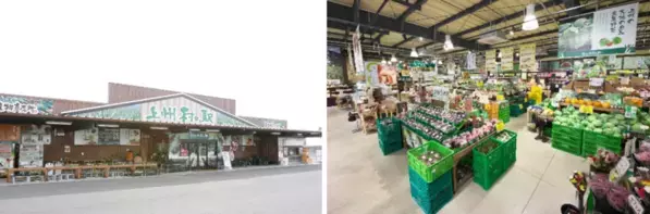 ＼2024年のご愛顧に感謝を込めて／　12月27日(金)からの10日間は『年末年始のお野菜祭り』　旬のお野菜をたっぷりご用意して、皆様のお越しをお待ちしています！群馬県渋川市「上州・村の駅」