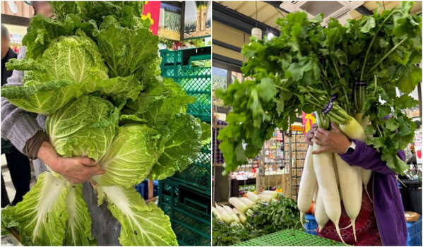 ＼2024年のご愛顧に感謝を込めて／　12月27日(金)からの10日間は『年末年始のお野菜祭り』　旬のお野菜をたっぷりご用意して、皆様のお越しをお待ちしています！群馬県渋川市「上州・村の駅」