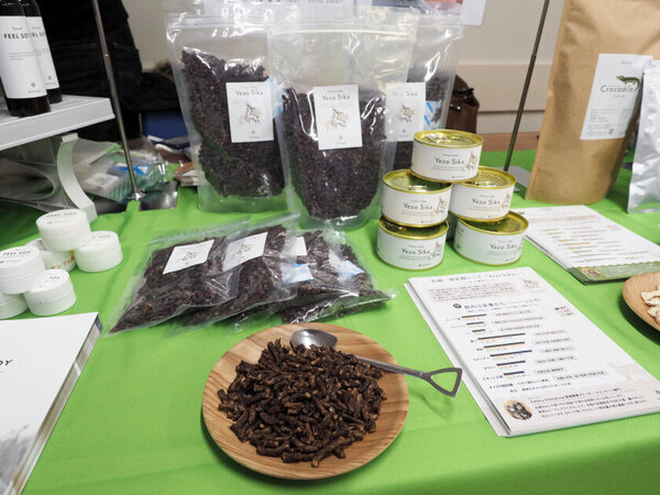 ペトハピ、TICA公認のクリスマスキャットショーに出店