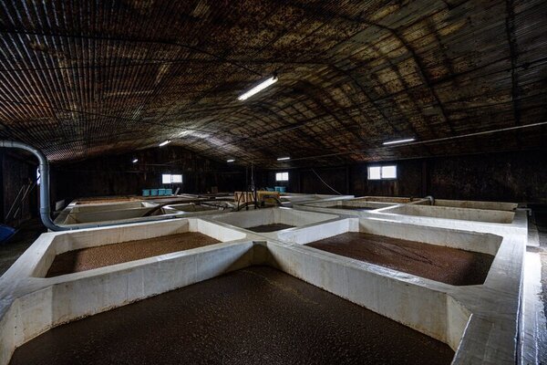 創業270余年 熊本の味噌・醤油製造会社「やまうち本店」　新春イベント【やまうちの♪迎春大感謝まつり2025】1月3日(金)～1月5日(日)開催