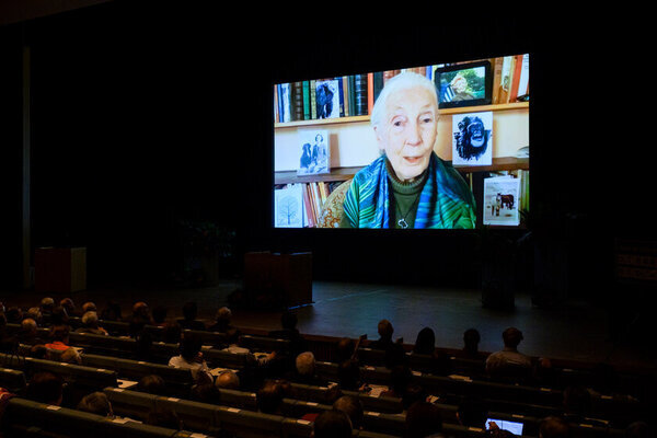 アーカイブ動画公開のお知らせ　設立25周年記念 五井平和財団フォーラム「PEACE TO PEACE」