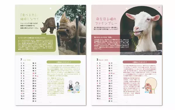 『いきものもぐもぐカレンダー』を「アドベンチャーワールド」とコラボして制作・公開