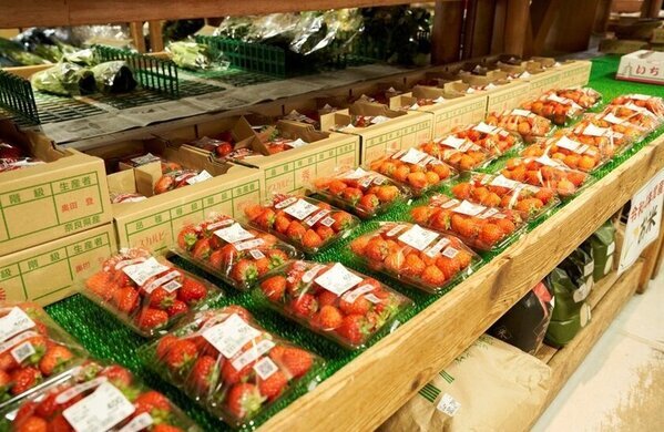 「あすかでいちごキャンペーン」1月15日より実施　奈良県明日香村の“いちご”を満喫しよう！