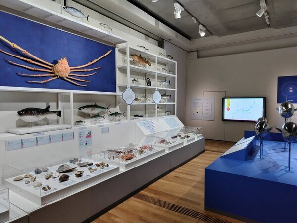 特別展「和食 ～日本の自然、人々の知恵～」　2025年1月18日(土)愛知・豊田市博物館にて開幕！東京会場で約23万人が鑑賞した和食の世界