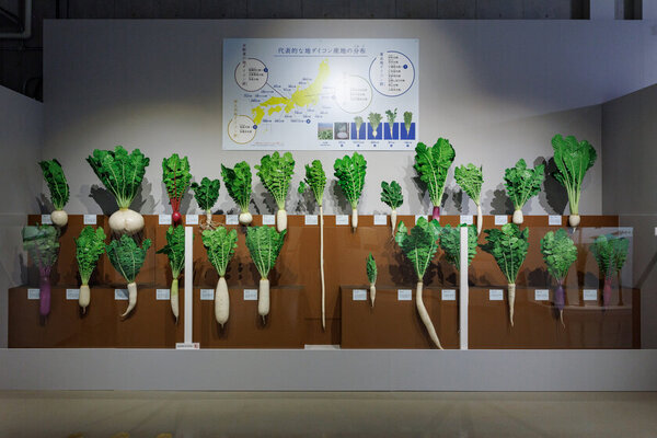 特別展「和食 ～日本の自然、人々の知恵～」　2025年1月18日(土)愛知・豊田市博物館にて開幕！東京会場で約23万人が鑑賞した和食の世界