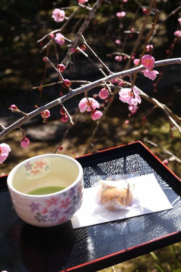熊本県 人吉球磨地域の10市町村で「人吉球磨のひなまつり」2月1日(土)から開催！＼国宝青井阿蘇神社にてオープニングイベント／