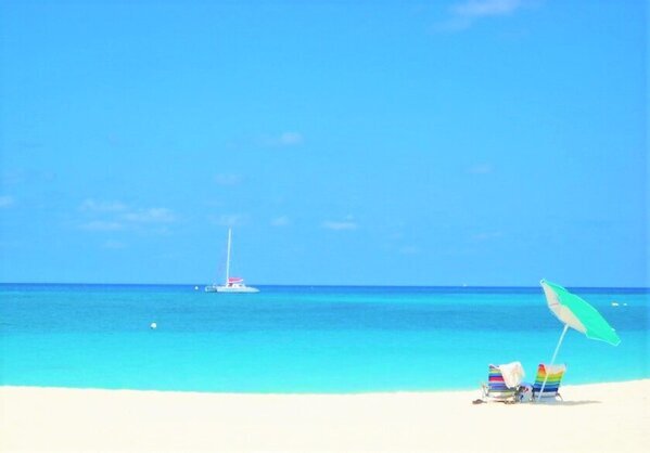 学校・企業などで好評の“世界を学ぶセミナー”に新たなテーマ【知ること大学】が2025年2月開講！～旅するように世界を学び、視野を広げる～