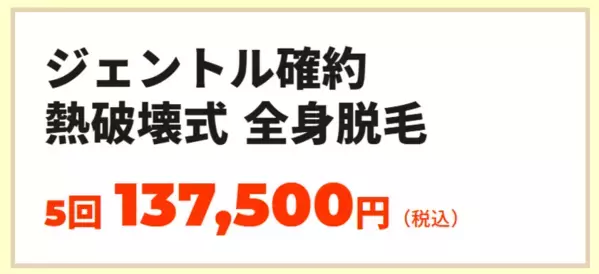 《メンズ医療脱毛の決定版！》「《ジェントルシリーズ確約 熱破壊式 全身医療脱毛コース》」発売のお知らせ