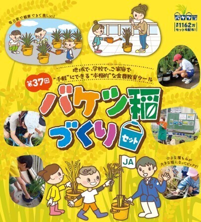 ベランダや庭先で手軽にお米づくりができる！「バケツ稲づくり」１月10日（金）から学校・団体申し込み開始教育委員会の取りまとめは送料無料に！