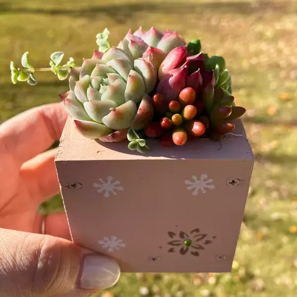 いよいよ愛知で初開催！20,000点超の手づくり作品が全国から集まる「名古屋ハンドメイドマルシェ」2月23日(日)・24日(月祝)開催