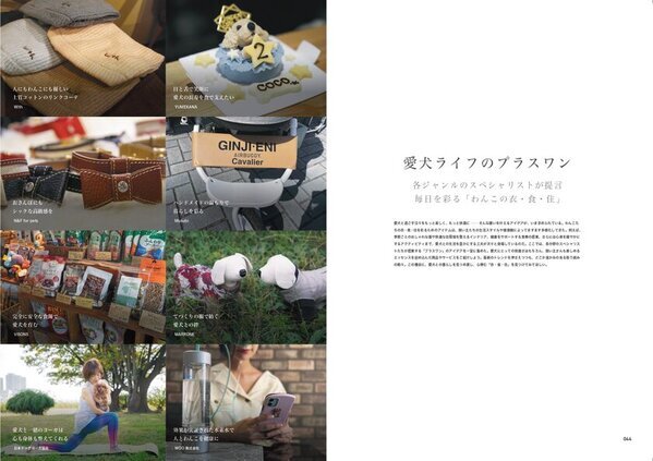 【新創刊】愛犬の心とからだの健康を考える『chico』創刊準備号を刊行