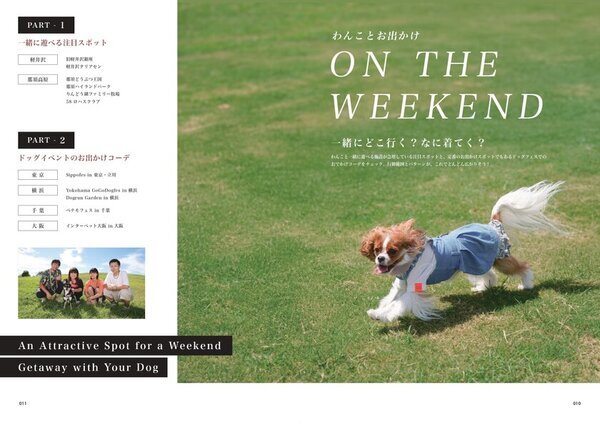 【新創刊】愛犬の心とからだの健康を考える『chico』創刊準備号を刊行