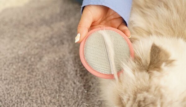 服についた抜け毛も取れる猫用グルーミングブラシ発売　猫舌によく似た触感のエチケットブラシ生地を使用