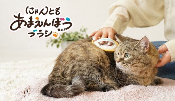 服についた抜け毛も取れる猫用グルーミングブラシ発売　猫舌によく似た触感のエチケットブラシ生地を使用