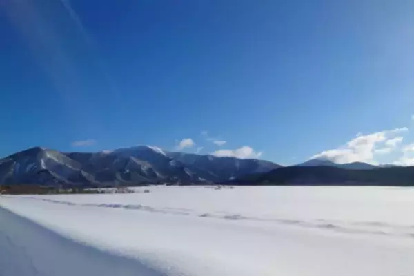 現地でつかえるふるさと納税「ココふる」 | 東北地方でははじめてとなる山形県から「最上町ココふる」のサービス提供が開始されます
