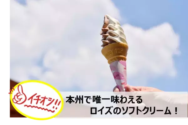 宮城のグルメ・景色・体験が満載！宮城の魅力が詰まった道の駅特集