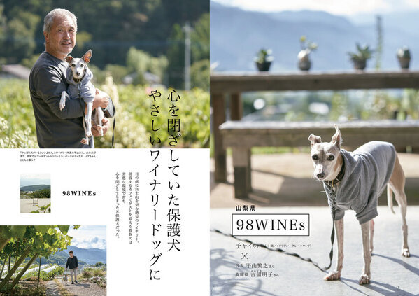 日本のワイナリーで活躍するワイナリードッグ(看板犬)を紹介　『日本のワイナリードッグ』1月20日発売
