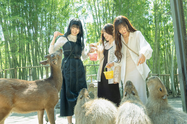 動物園×グランピングの『THE BAMBOO FOREST』が「U25・学割プラン」を3月31日チェックイン分まで予約受付