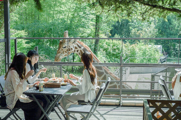 動物園×グランピングの『THE BAMBOO FOREST』が「U25・学割プラン」を3月31日チェックイン分まで予約受付