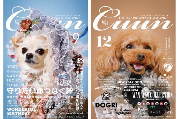 撮影参加者様全員『CUUN』掲載！！愛犬の魅力をプロが引き出す。愛犬「ヘアメイク付き写真撮影会」開催決定！