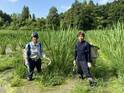 滋賀県の荒廃農地を真菰(まこも)で蘇らせたい！栄養素が豊富な「まこもパウダー《きぼう》」を開発、クラウドファンディングを2月28日まで実施