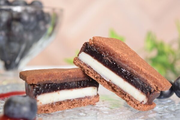 長野県発クラフトチョコレートブランド「信州ショコラトリーGAKU」にて2025年バレンタインフェア『Voyage～フルーツで巡る信州旅～』がスタート