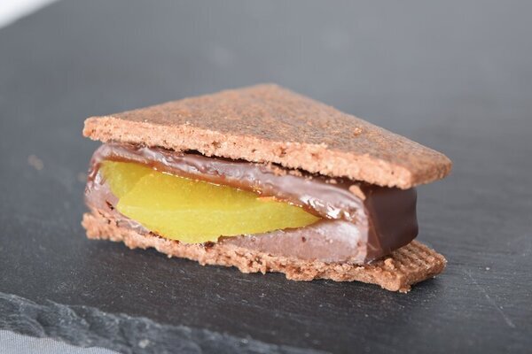 長野県発クラフトチョコレートブランド「信州ショコラトリーGAKU」にて2025年バレンタインフェア『Voyage～フルーツで巡る信州旅～』がスタート