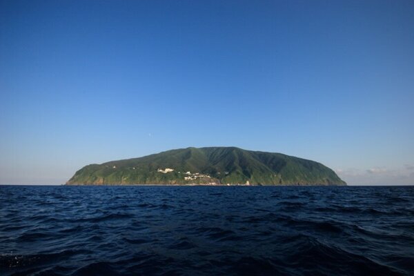 しながわ水族館「イルカがいるから御蔵島にいこう展」1月22日(水)～2月3日(月)開催！