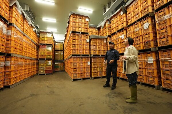 松本まりかさんが千葉県産さつまいもスイーツを堪能！＆畑で全力さつまいも掘り？！「紅のご褒美」PR動画第二弾が1月16日(木)より特設サイト【千葉自賛】にて公開