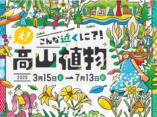 【六甲高山植物園】3月15日（土）シーズンOPEN！新イベント『え！こんな近くに？！高山植物』開催