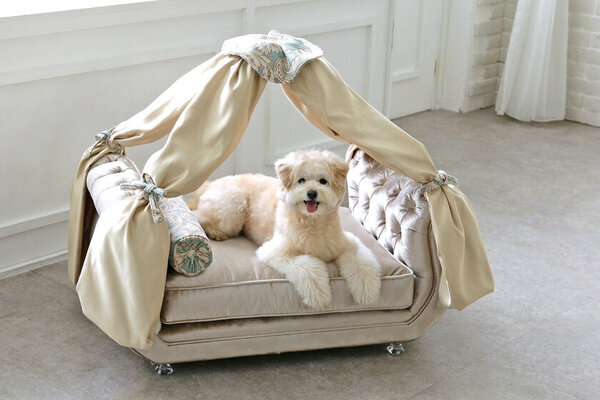 日本初上陸！ハリウッド発カスタムメイドのわんちゃん用ハイグレードペットソファが受注開始