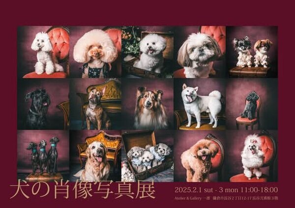 愛犬の写真をアートへと昇華　かけがえのない瞬間を収めた「犬の肖像美術写真展」とフォトグラファー・小林能伊氏の「アーティストトーク」を鎌倉・長谷【Atelier & Gallery一凛】にて2月に開催