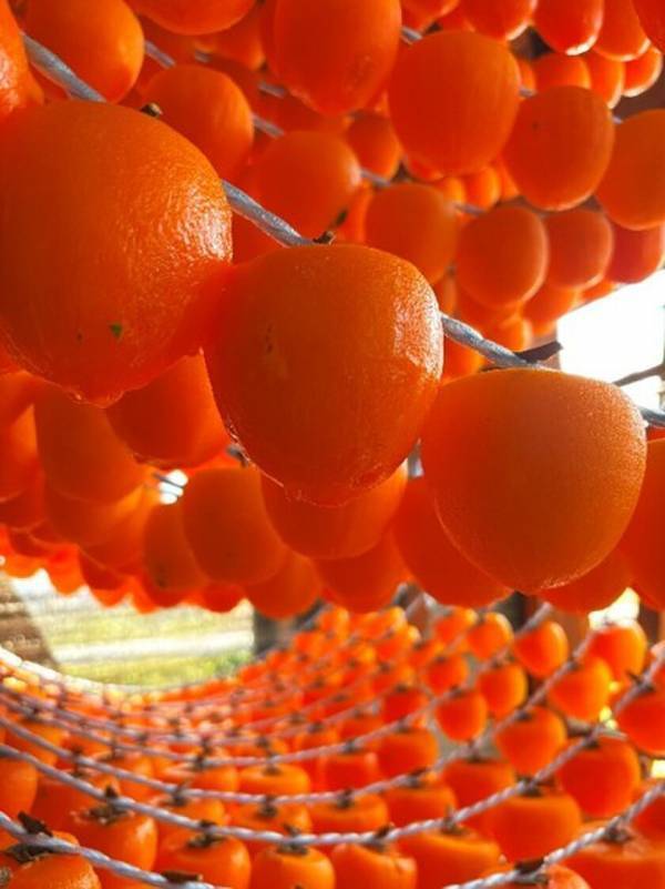 福島県伊達市発祥　“あんぽ柿”の魅力あふれる饗宴　都内レストランで「あんぽ柿」メニュー登場　2025年1月24日(金)～2月末(なくなり次第終了)