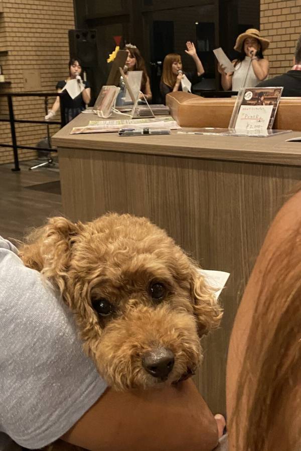 愛犬と楽しむ音楽イベント「わんわんサウンドシエスタVol.1」東京・麻布のコンサートホール『霞町音楽堂』で3月22日に開催！