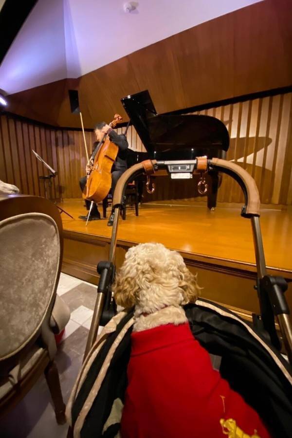 愛犬と楽しむ音楽イベント「わんわんサウンドシエスタVol.1」東京・麻布のコンサートホール『霞町音楽堂』で3月22日に開催！