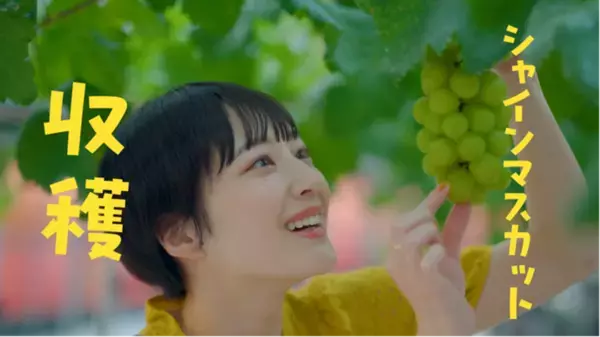 ふるさと納税返礼品が満載！山梨県忍野村が新作公式プロモーション動画を公開！