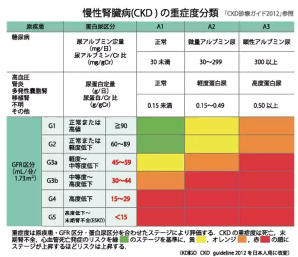 腎臓の健康に関する漢方相談の売上が昨年対比で5倍増　透析予備軍の慢性腎臓病患者の増加が背景に　社会的課題である健康寿命の延伸をいかにサポートするか