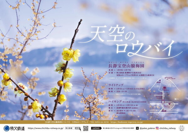 冬の輝きがここに！ 関東屈指ロウバイの名所長瀞宝登山臘梅園、見頃シーズン到来！1月中旬～2月下旬の見頃時期に合わせて幻想的ライトアップやハイキングなどを開催