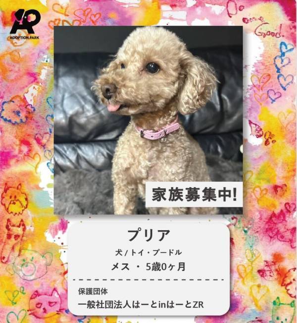 【アトレ新浦安】「未来のペットショップ」を目指す新しい保護犬猫譲渡会 ADOPTION PARKを開催！