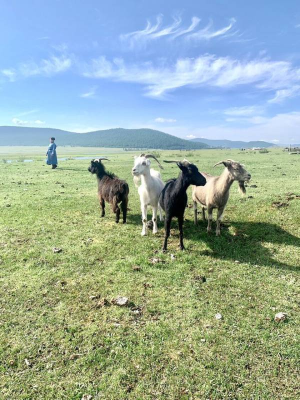 就職氷河期世代の女性に「おしゃれ」の迷子が増えている？！自分を抱きしめるように纏う最高級モンゴル産カシミヤの秋冬コレクション