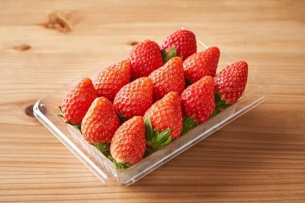 《道の駅サーモンパーク千歳》地域の皆様へ感謝を込めて生活応援感謝祭を2月1日(土)～16日(日)で開催！