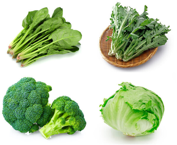 《道の駅サーモンパーク千歳》地域の皆様へ感謝を込めて生活応援感謝祭を2月1日(土)～16日(日)で開催！